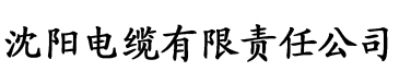 在线理论片中文字幕电缆厂logo